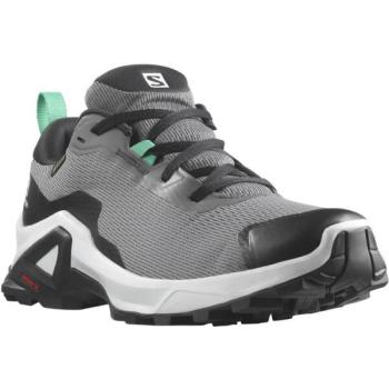 Salomon X REVEAL 2 GTX W Női outdoor cipő, szürke, méret 36 2/3 kép