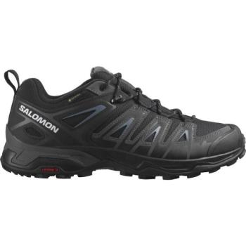 Salomon X ULTRA PIONEER GTX Férfi túracipő, fekete, méret 41 1/3 kép