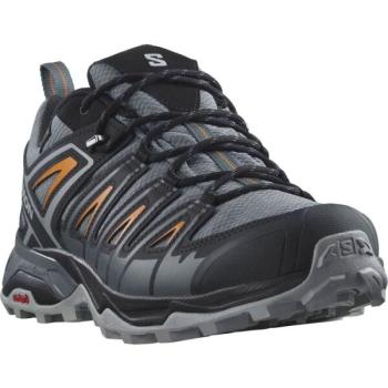 Salomon X ULTRA PIONEER GTX Férfi túracipő, szürke, méret 41 1/3 kép