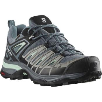 Salomon X ULTRA PIONEER GTX W Női túracipő, szürke, méret 37 1/3 kép