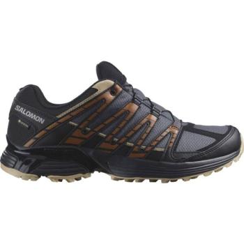 Salomon XT RECKON GTX Férfi terepfutó cipő, sötétszürke, méret 42 2/3 kép