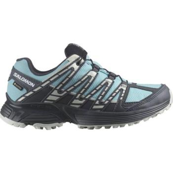 Salomon XT RECKON GTX W Női terepfutó cipő, világoskék, méret 37 1/3 kép