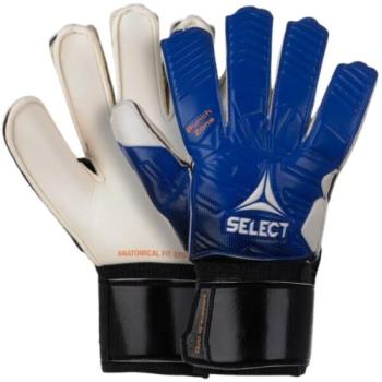 Select GK GLOVES 03 YOUTH V23 Gyerek futball kesztyű, kék, méret kép