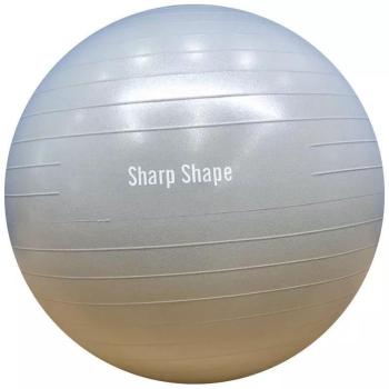 Sharp Shape Gym Ball 55 cm szürke kép