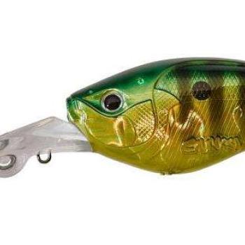 Slattern 6,5cm f fire gold perch kép