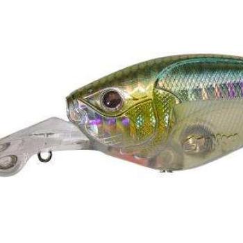 Slattern 6,5cm f hl minnow kép