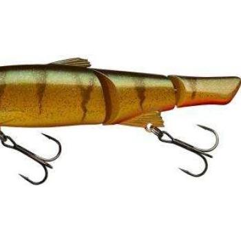 Sleek mikey 16cm f aggressive perch kép