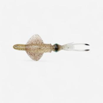 SWIM SQUID RTF tengeri műcsali, 18 cm, 90 g, zöld szem Savage Gear kép