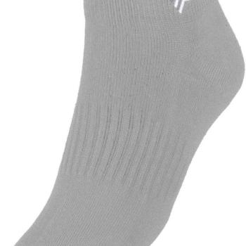 Tecnifibre Socks Low-Cut á3, szürke kép