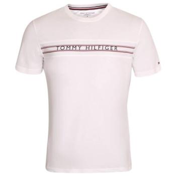 Tommy Hilfiger CLASSIC-CN SS TEE PRINT Férfi póló, fehér, méret kép