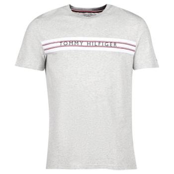 Tommy Hilfiger CLASSIC-CN SS TEE PRINT Férfi póló, szürke, méret kép