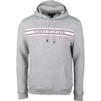 Tommy Hilfiger CLASSIC-HWK OH HOODIE Férfi pulóver, szürke, méret kép