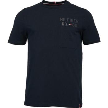 Tommy Hilfiger GRAPHIC S/S TEE Férfi póló, sötétkék, méret kép