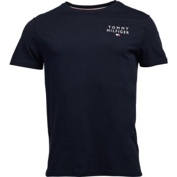 Tommy Hilfiger TH ORIGINAL-CN SS TEE LOGO Férfi póló, sötétkék, méret kép