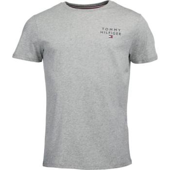 Tommy Hilfiger TH ORIGINAL-CN SS TEE LOGO Férfi póló, szürke, méret kép