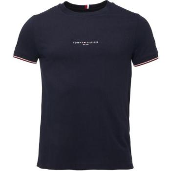 Tommy Hilfiger TOMMY LOGO TIPPED Férfi póló, sötétkék, méret kép