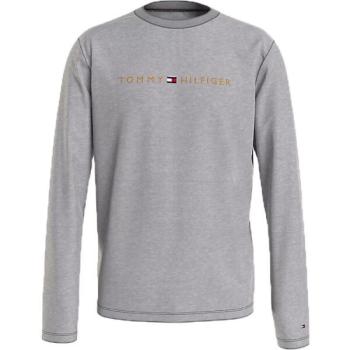 Tommy Hilfiger TOMMY ORIGINAL-CN LS TEE LOGO Férfi felső, szürke, méret kép