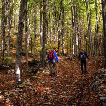 TRIZAND párnázott, fekete túrabot - nordic walking bot - síjáró b... kép