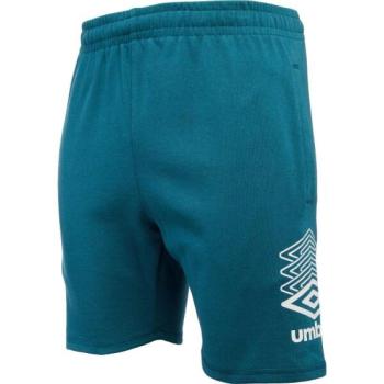 Umbro TERRACE SHORT Férfi rövidnadrág, sötétzöld, méret kép