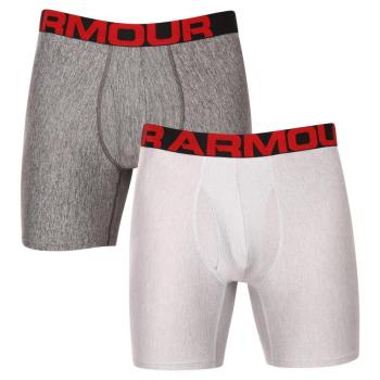 UNDER ARMOUR-UA Tech 6in 2 Pack-GRY Szürke L kép