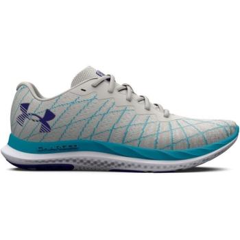 Under Armour W CHARGED BREEZE 2 Női futócipő, szürke, méret 37.5 kép