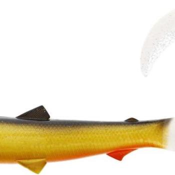 Westin BullTeez Curltail, 10 cm, 6 g, Official Roach, 2 ks kép