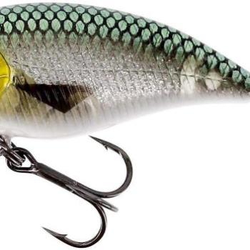 Westin BuzzBite SR Crankbait, 5 cm, 6 g, Low Floating, 3D Headlight kép