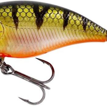 Westin BuzzBite SR Crankbait, 5 cm, 6 g, Low Floating, Bling Perch kép