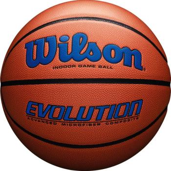 Wilson Evolution 295 Game Ball kék kép