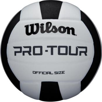 Wilson PRO TOUR VB BLKWH kép