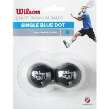 Wilson STAFF SQUASH 2 BALL BLU DOT Fallabda, kék, méret kép