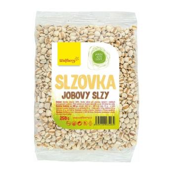 Wolfberry Jób könnye kép