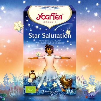 Yogi Tea Star Salutation Ayurvédikus tea 17 x 1,9 g kép