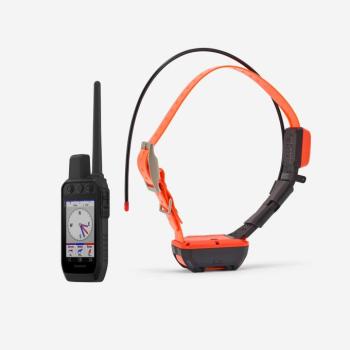 Elektromos nyakörv - Alpha 300 + T20 Garmin kép