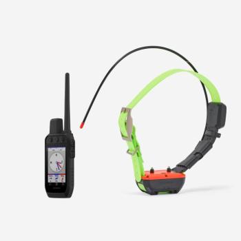 Elektromos nyakörv - Alpha 300 + TT25 Garmin kép