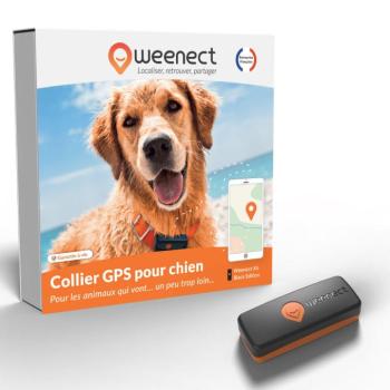 GPS nyomkövető nyakörv kutyáknak - Weenect V2 kép