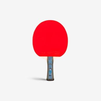 Pingpongütő beltéri - Tibhar Samsonov 4* kép