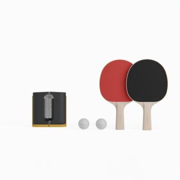 Pingpongütő szett, mini, háló + 2db ütő 2 db labda - PPR 100 Pongori kép