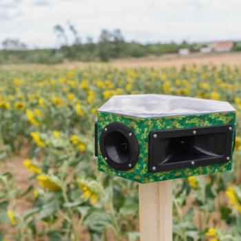 Vadalarm Smart Hexa akusztikus állatriasztó vadriasztó üzemmódban kép